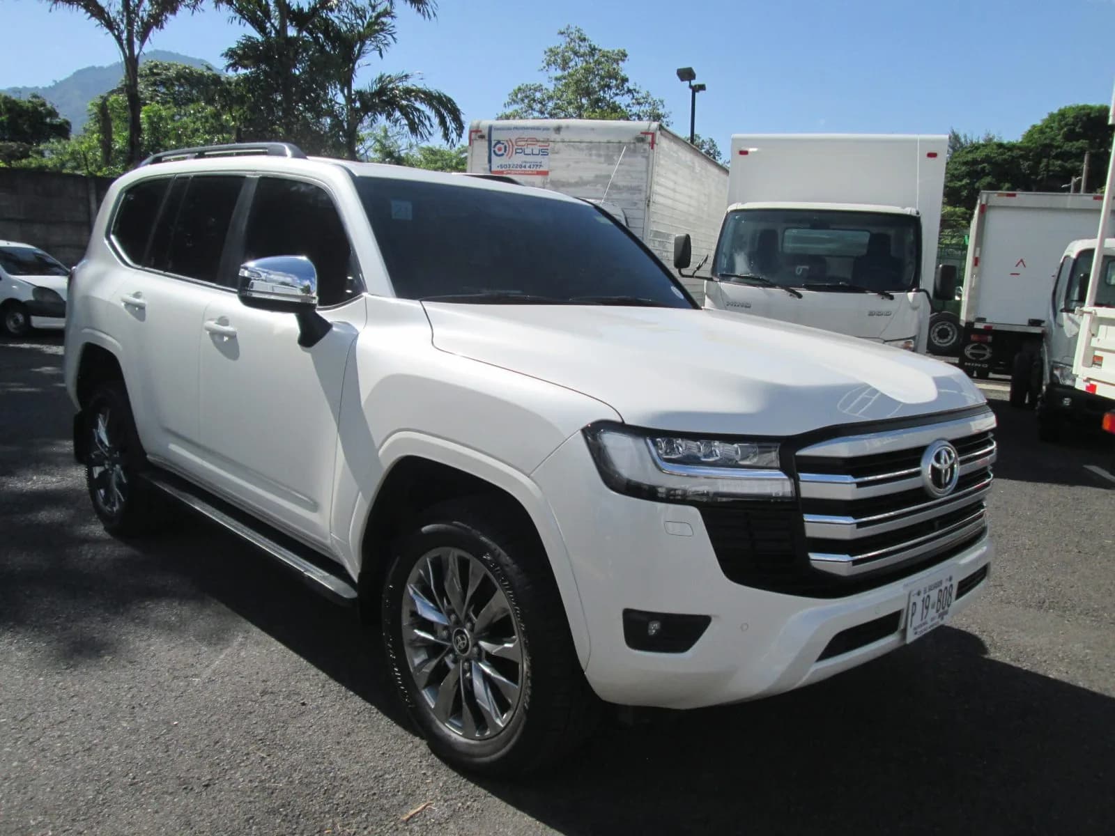 TOYOTA LAND CRUISER P 19B08